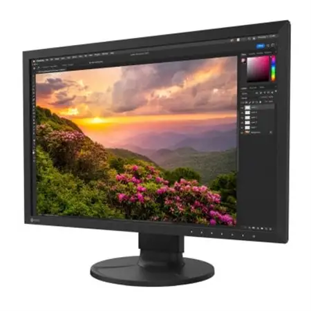 【国内生産】EIZO 24.1型カラーマネージメント液晶モニター ColorEdge CS2400S_家電製品 TV・オーディオ・カメラ  _【1384279】