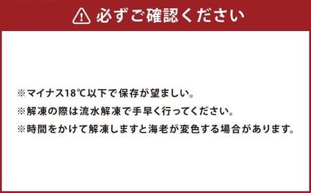天草産 活〆冷凍 車海老 500g（特大） 12～14尾 車えび 車エビ えび 海老 エビ 冷凍 国産 熊本県 上天草市【2025年11月下旬発送開始】