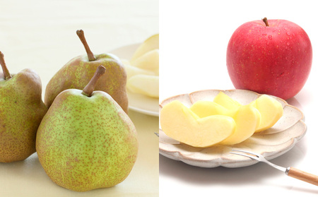 【定期便4回】イチオシフルーツ！やまがた宝箱A FZ25-823