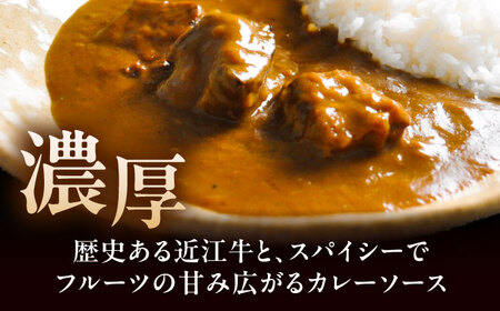 -あふひ 贅の極み- 近江牛カレー レトルト 2人前×2個セット / 恵那市 / テンポイント [AUEU017]