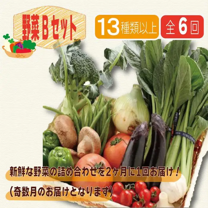 野菜セット【定期便 / 全6回：奇数月お届け】旬の新鮮野菜B（たっぷり13種類以上）