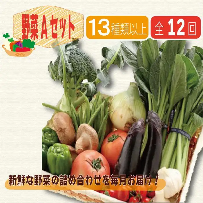 野菜セット【毎月お届け全12回】旬の新鮮野菜Ａ（たっぷり13種類以上）印南町 人気