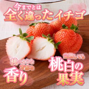 a10-989　いちご 桃薫(とうくん）大粒1パック（約300g）