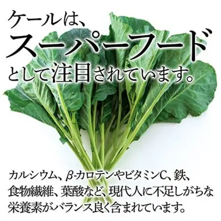 【毎月定期便】TV紹介で大好評 ソフトケール 100g×5袋 健康 腸活応援 スムージー 全6回_ケール 野菜 スーパーフード やさい 食物繊維 カルシウム サラダ パスタ スムージー 定期便 全6回 産地直送 冷蔵 送料無料_【配送不可地域：離島】【4003775】