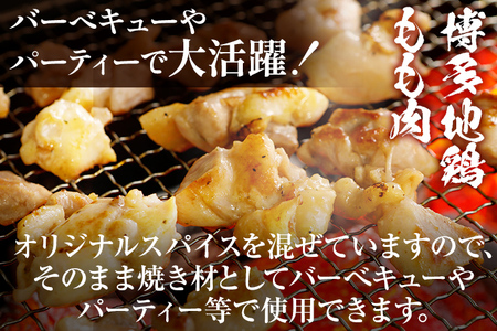 博多地鶏 スパイス焼きセット 肉の駅KING もも 胸肉 900g (450g×2p) 焼肉 九州産 冷凍 取り寄せ 送料無料