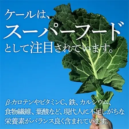 【毎月定期便】血圧対策+手軽に野菜摂取!【無添加 ケールまるごと100%青汁】スーパーフード全3回_青汁 あおじる 定期便 ケール 100% 無添加 有機栽培 全3回 手軽 スーパーフード 野菜 飲料 ドリンク カルシウム 鉄 食物繊維 送料無料_【4003779】