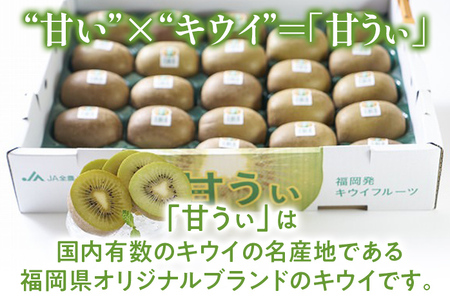 福岡県産ブランドキウイ「甘うぃ」約1.5kg(12-15玉)