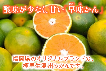 福岡県産ブランドみかん 「早味かん」約4kg箱