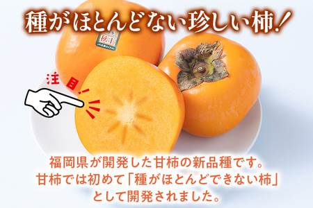 福岡県産ブランド柿「秋王」約3kg(8-12玉)