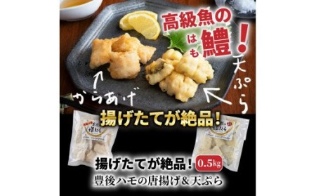 揚げたてが絶品！豊後ハモの唐揚げ＆天ぷら/0.5kg _0275N