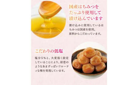紀州南高梅「蜜恋」（塩分約5％）300ｇ×2 はちみつ梅干し A級品 大粒3L以上 / 和歌山 梅干し 田辺市 紀州南高梅 南高梅 梅干 梅 うめ 肉厚 お米 おにぎり 焼酎 梅酒 健康 はちみつ入り りんご酢 塩分約5％ 塩分控えめ【kbe040-1】