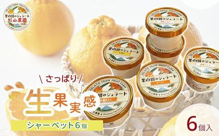 果樹園のジェラート 夏にさっぱりシャーベット6個セット 100ml×6個 冷凍 ギフト アイスクリーム シャーベット□
