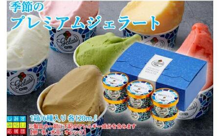 季節のプレミアムジェラート 6種 (120ml×6個) 冷凍 ギフト【配送不可：離島】スイーツ アイス シャーベット◆