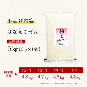 はなえちぜん 白米 5kg 真空パック ハナエチゼン 米 簡易梱包 エコ梱包
