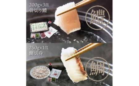 国東海鮮おススメ2種のしゃぶしゃぶ（天然鯛＆はも）・通 _29011B