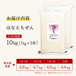 はなえちぜん 白米 5kg×2袋 真空パック ハナエチゼン 米 簡易梱包 エコ梱包