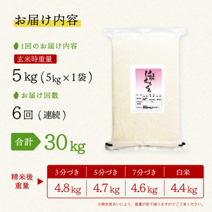 はなえちぜん 白米 5kg×6回 6ヶ月連続 定期便 30kg 真空パック ハナエチゼン 米 簡易梱包 エコ梱包