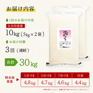はなえちぜん 白米 5kg×2袋×3回 3ヶ月連続 定期便 30kg 真空パック ハナエチゼン 米 簡易梱包 エコ梱包