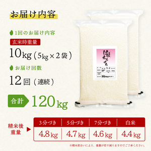 はなえちぜん 白米 5kg×2袋×12回 12ヶ月連続 定期便 120kg 真空パック ハナエチゼン 米 簡易梱包 エコ梱包