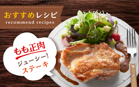 ＜便利な精肉3種＞みつせ鶏もも正肉・もも切身・ミンチセット 計1.7kg 吉野ヶ里町/ヨコオフーズ 鶏肉 国産 ヘルシー チキン 小分け[FAE173]
