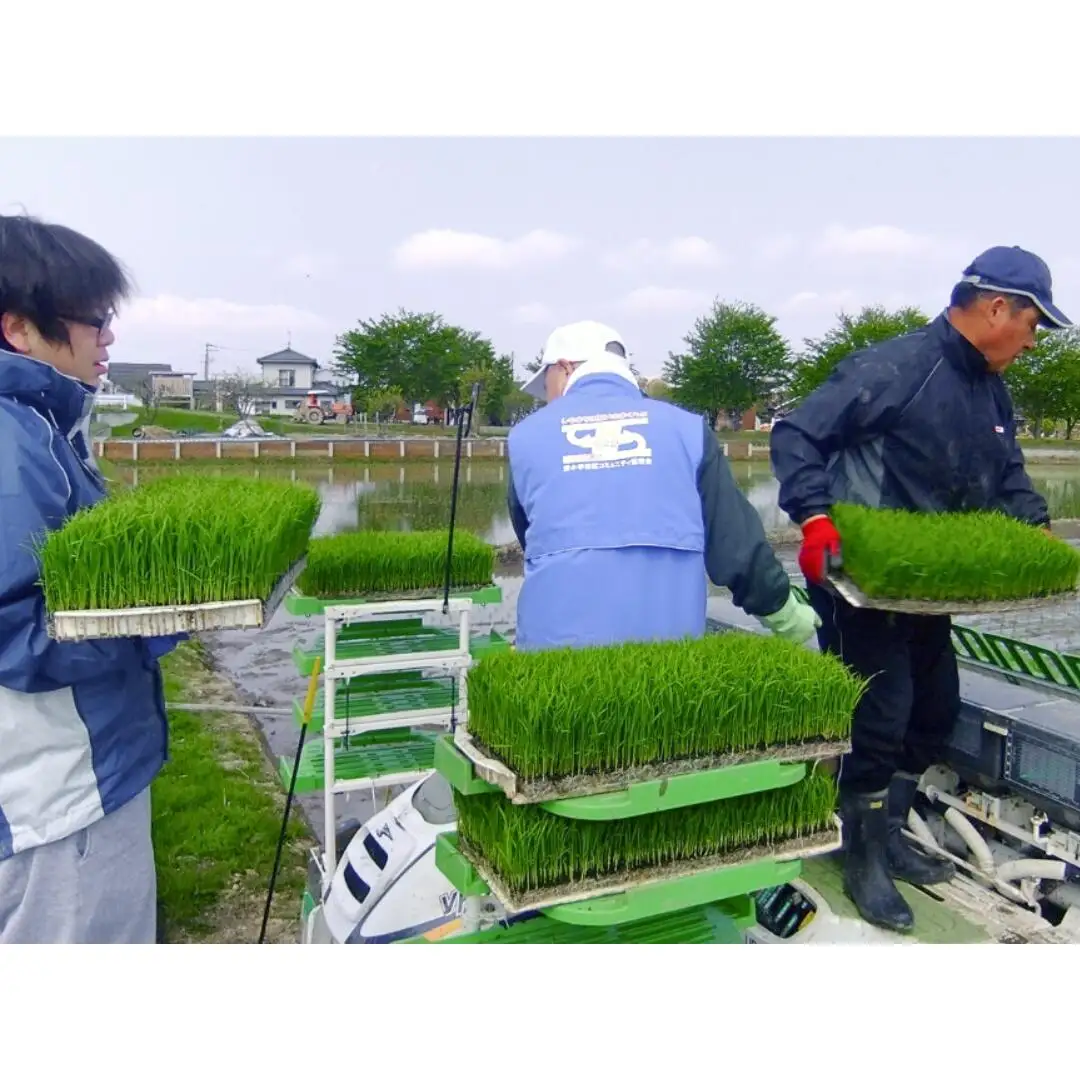 新之助 5kg 人生応援米 令和7年産 アグリ巧房 新之助