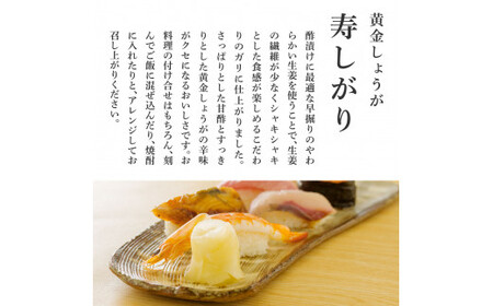 国産黄金しょうが寿しがり1kg×3袋 