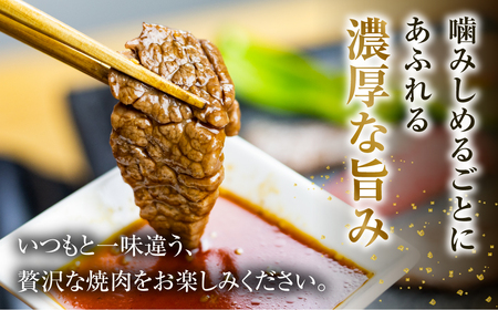 白川郷 飛騨牛 赤身 焼肉 用 500g 高山米穀 焼肉 [S552]