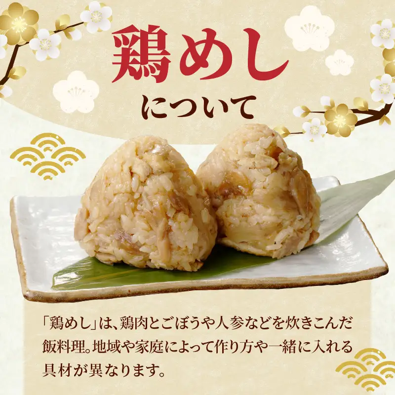 豊後の鶏めし【10人前】 A03039