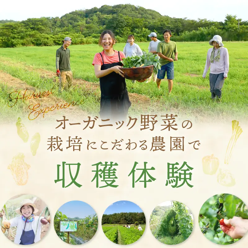 オーガニックファームでのんびり過ごそう！収穫体験&お土産付き(2名様分)