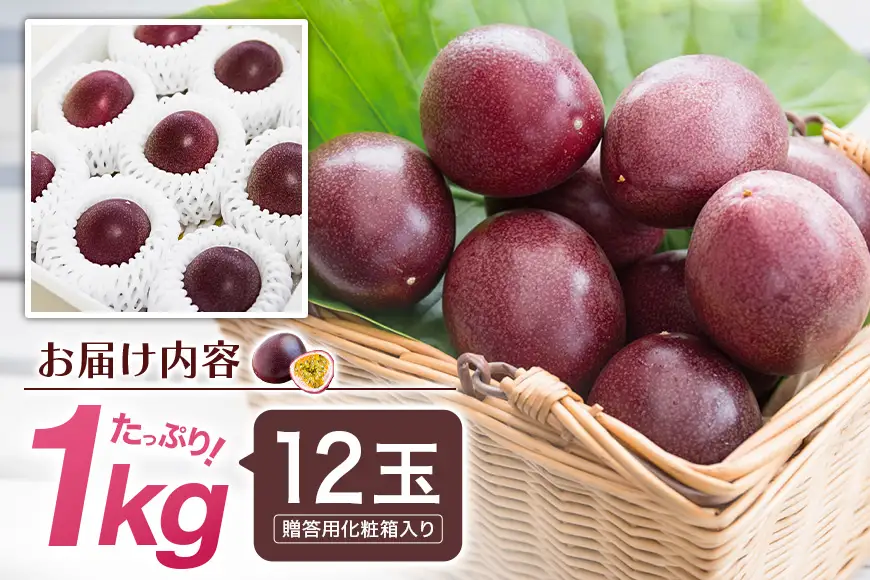 【 2026年 先行予約 】《 奄美大島産 パッションフルーツ 》 贈答用 化粧箱 入り1kg（12玉入り） A145-005 奄美大島産パッションフルーツ フルーツ 果物 トロピカルフルーツ 先行受付 事前予約 事前受付 受付 予約 限定 甘い フラスコ ふるさと納税 奄美市 おすすめ ランキング プレゼント ギフト