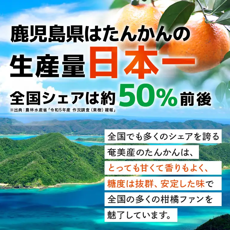【 2027年 先行予約 】《 奄美大島産 》 おいしい 完熟 たんかん 光センサー選別 5kg A145-002 期間 数量 限定 柑橘 みかん 果物 フルーツ 旬 甘い 光センサー サイズ おまかせ 奄美大島 ピーラー付き フラスコ ふるさと納税 鹿児島 奄美市 おすすめ ランキング プレゼント ギフト