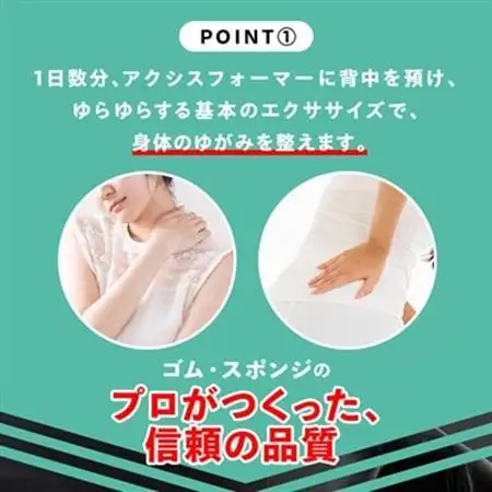 アクシスフォーマー ロングポール (ブラック)_雑貨・日用品  スポーツ・アウトドア用品 _【1035022】