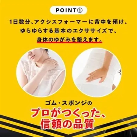 アクシスフォーマー ロングポール (ネイビー)_雑貨・日用品  スポーツ・アウトドア用品 _【1035023】