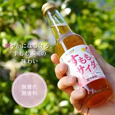 大阪府ひらかた産　すもも使用　すももちゃんサイダー(250ml)　6本_飲料・ドリンク 炭酸飲料 ジュース _【1281289】