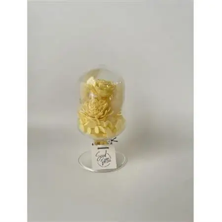 【黄色系】天球bottle flowers　Msize_花・観葉植物 造花・プリザーブドフラワー 花 _【1307788】
