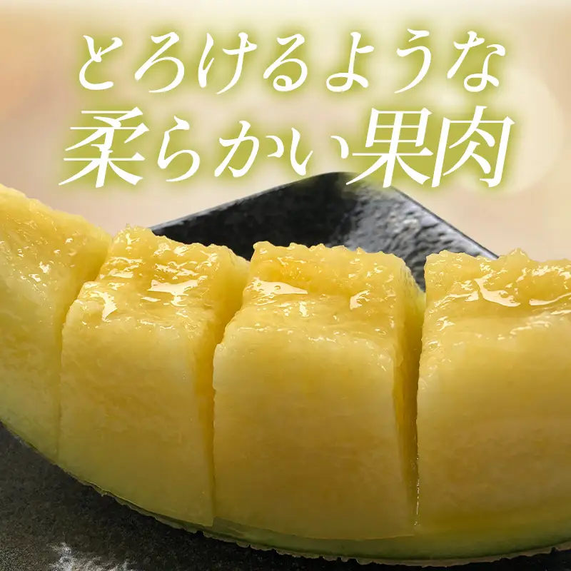 A-1154 青肉アールスメロン（2玉入り）