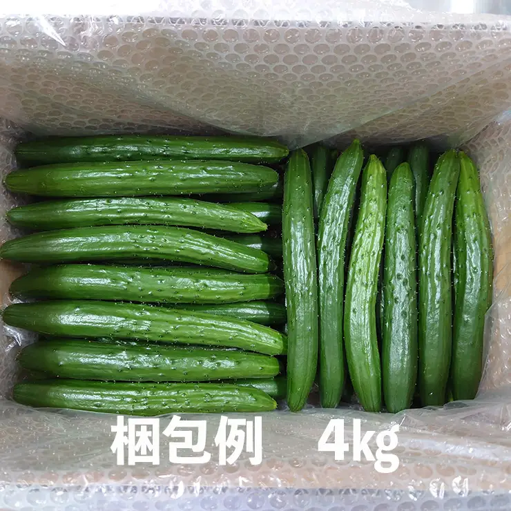 新鮮きゅうり4kg【特別栽培農産物】きゅうり