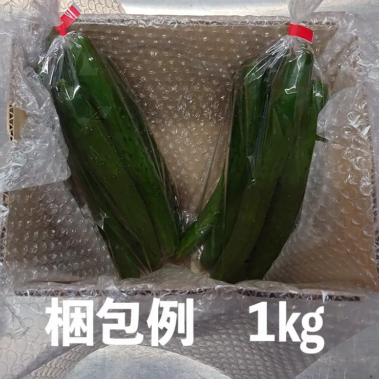 【クール冷蔵】新鮮きゅうり1kg【特別栽培農産物】 きゅうり