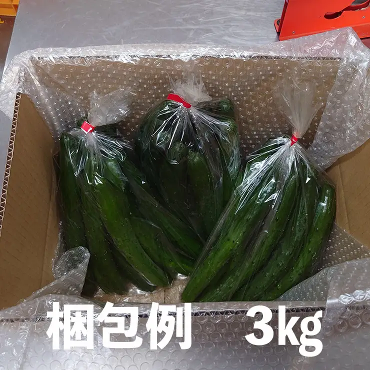 【クール冷蔵】新鮮きゅうり3kg【特別栽培農産物】 きゅうり