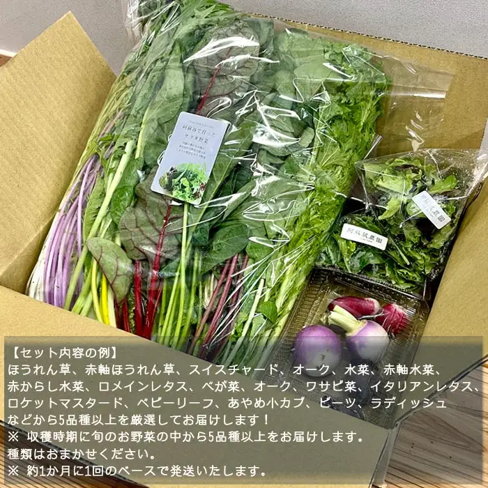 【定期便 全12回】サラダ野菜セット～3～5品種を毎月お届け～