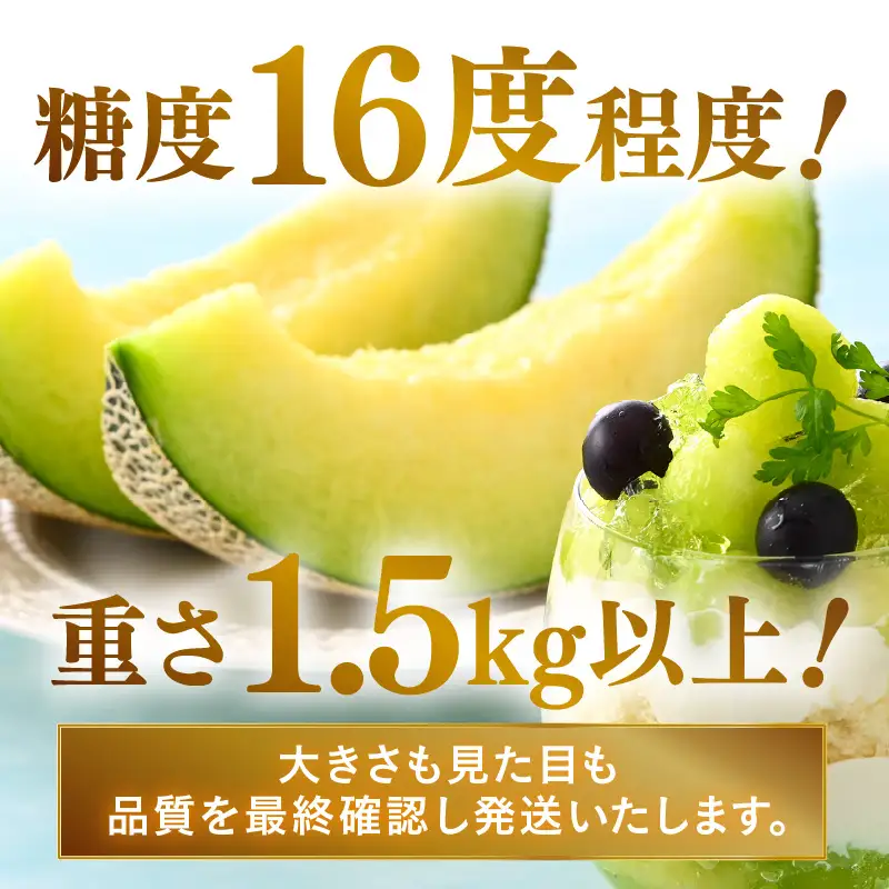 【先行予約】青肉アールスナイトメロン 秀品 2玉（1.5kg以上×2玉）【アールス系青肉メロン】《糖度16度程度！1株1果採りで育てる高級メロン！》／ 果物 フルーツ 農家直送 青肉 マスクメロン アールスメロン ギフト 贈答用 ※2026年7月上旬より順次発送予定 [aw028-a014]