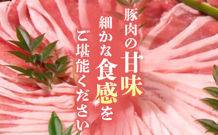 【6回定期便】豚帝 ギフトセット 【KRAZY MEAT(小田畜産)】[ZCP120]
