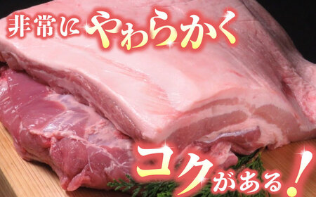 【3回定期便】豚帝 豚バラ ブロック 約1kg【KRAZY MEAT(小田畜産)】[ZCP044]