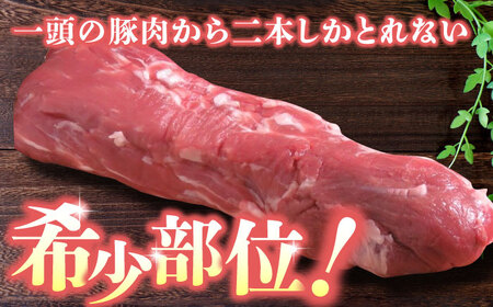 【6回定期便】豚帝 ヒレ ブロック 500g【KRAZY MEAT(小田畜産)】[ZCP066]