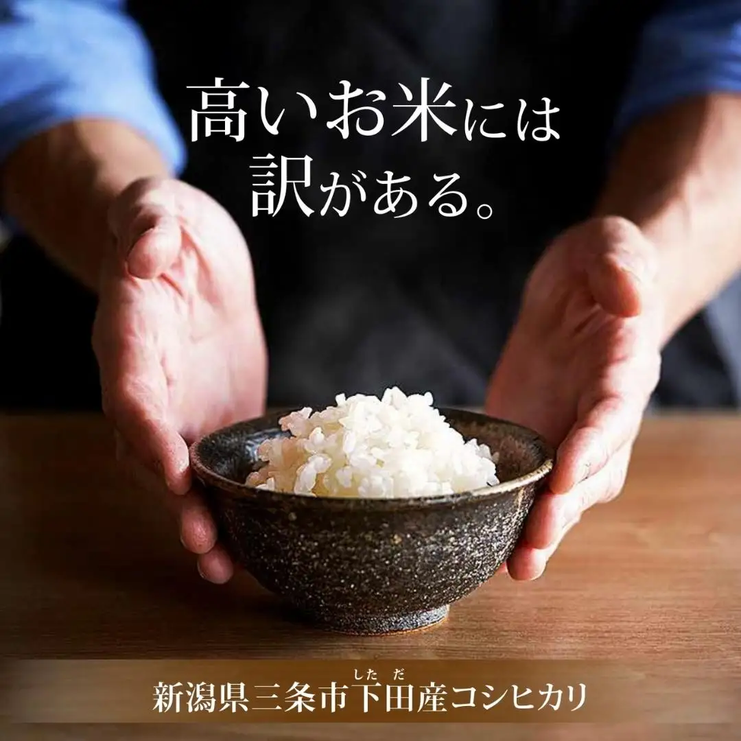 [定期便] 天水田で育った コシヒカリ 5kg ×3か月 オーガニック米 新潟県産 コシヒカリ