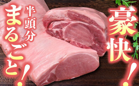 【6回定期便】豚帝 リブ ロース＆ロース ブロック (半頭分) 約5kg【KRAZY MEAT(小田畜産)】[ZCP127]