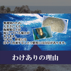 【訳あり】瞬間冷結！刺身用生しらす 200ｇ×5パック【大津港産】【シラス しらす丼 新鮮 魚介 瞬間冷凍 冷凍保存 長期保存 小分け 北茨城市 茨城県】（AA212）
