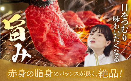【3回定期便】【限定生産】特選 焼肉 2種盛り 長崎和牛 出島ばらいろ ロース カルビ カタロース モモ（600g/回）【肉のマルシン】 [FG35] 肉 牛肉 焼き肉 赤身 バーベキュー BBQ 定期便