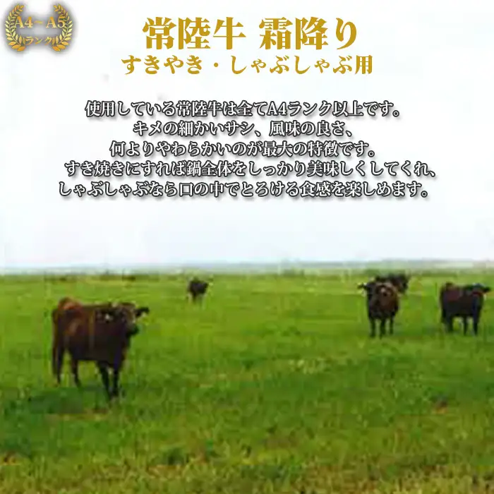 【常陸牛】すきやき・しゃぶしゃぶ用（カタ、カタロース、ロース）約400g＜茨城県共通返礼品＞ No.436