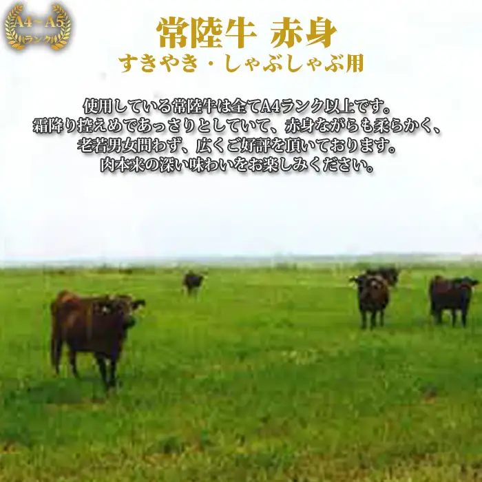 【常陸牛】すきやき・しゃぶしゃぶ用（もも・うで）約450g＜茨城県共通返礼品＞ No.437